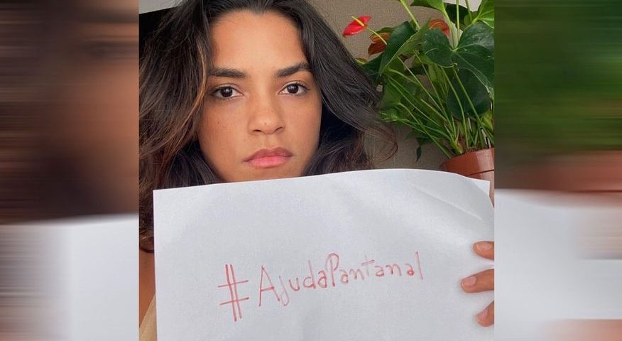 #ajudapantanal