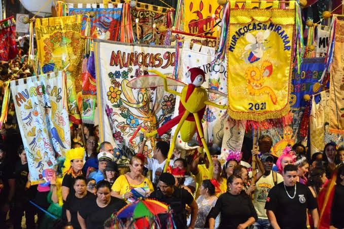 Muriçocas em exposição