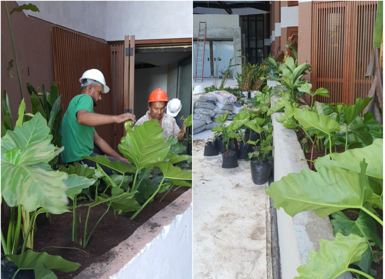 Ba’ra Hotel recebe suas primeiras plantas