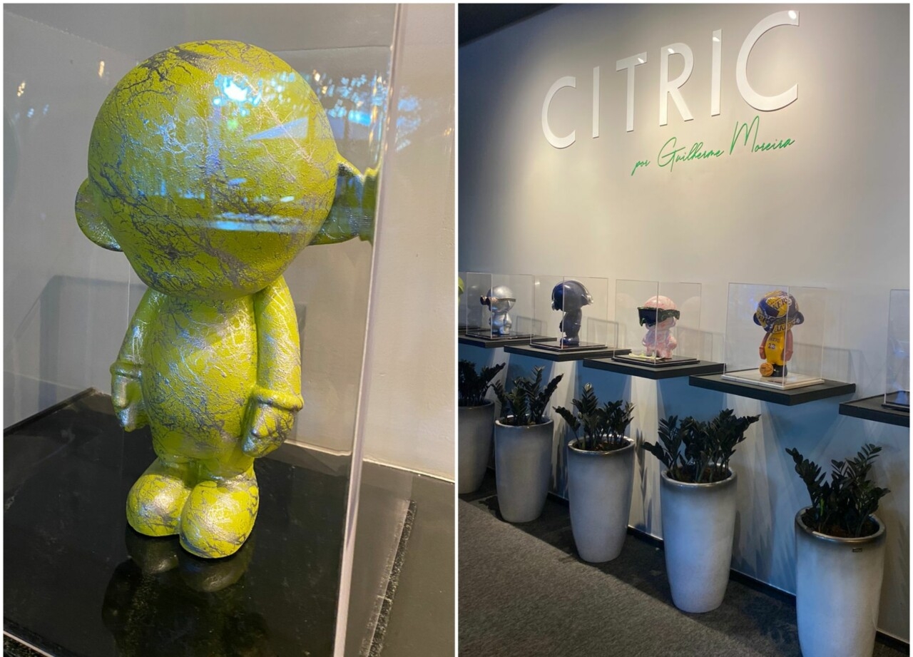 Exposição de Munnys no Citric do LXDB