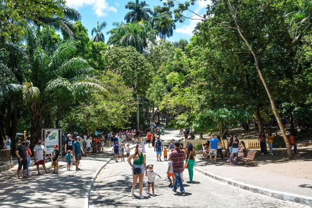 Férias de julho na Bica