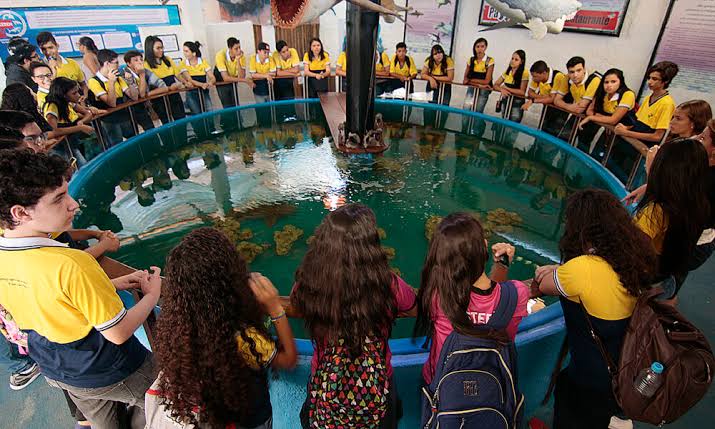 Aventura e educação ambiental